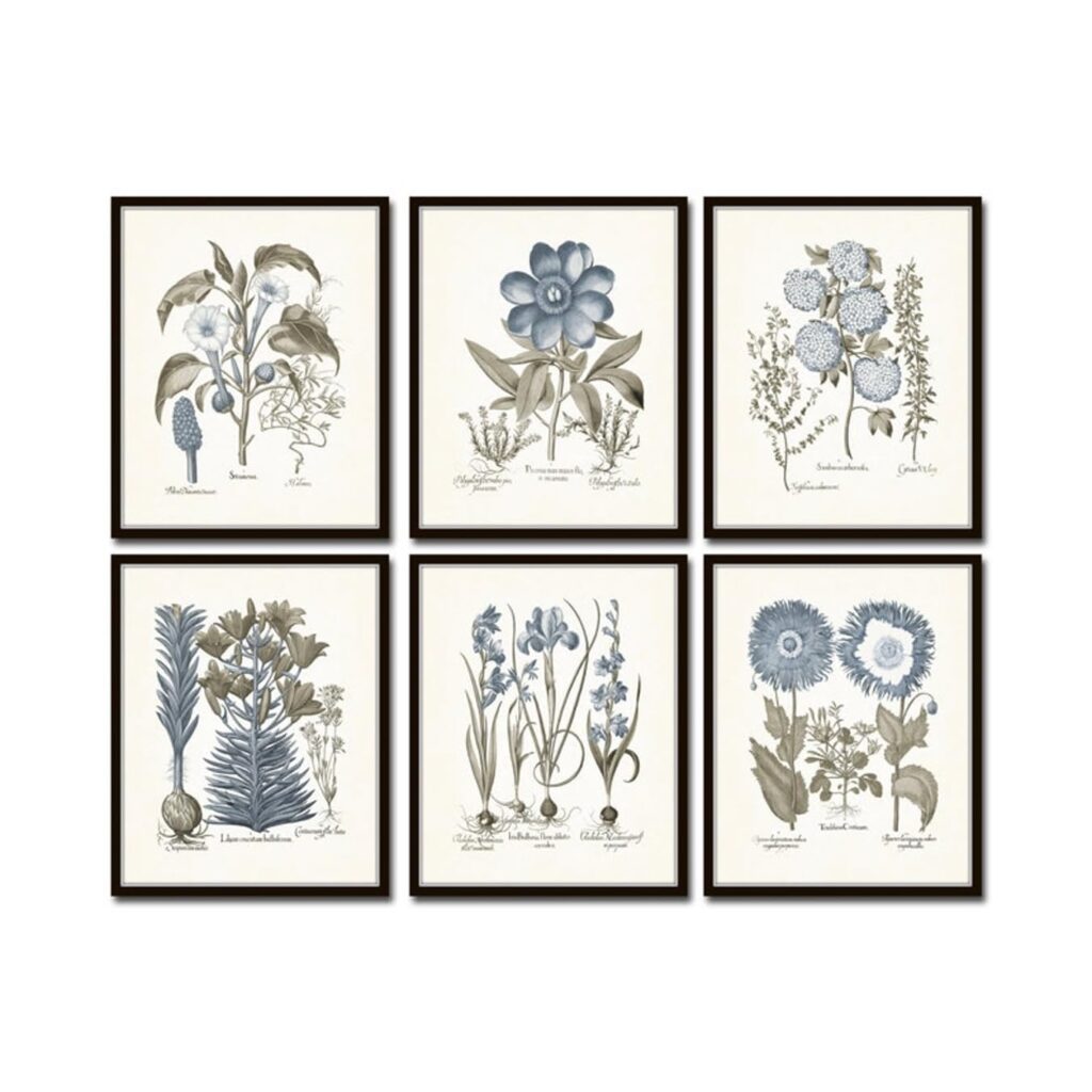 Set of six unframed 5x7 vintage-style sepia and blue botanical prints featuring antique illustrations of flowers and plants, ideal for cottage or French country wall decor.